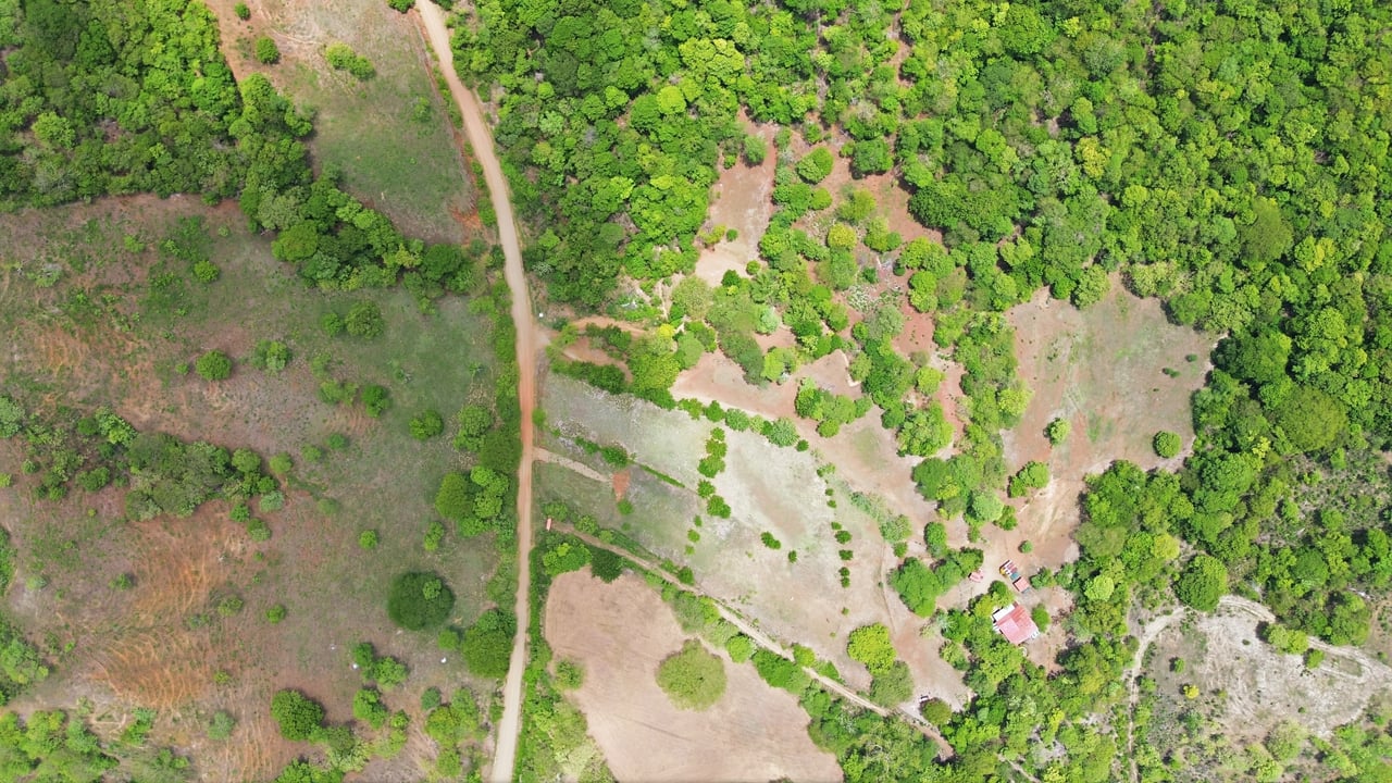 3.4 Acres of Quiet Country Living | 12 minutes from the Beach - Tempate 