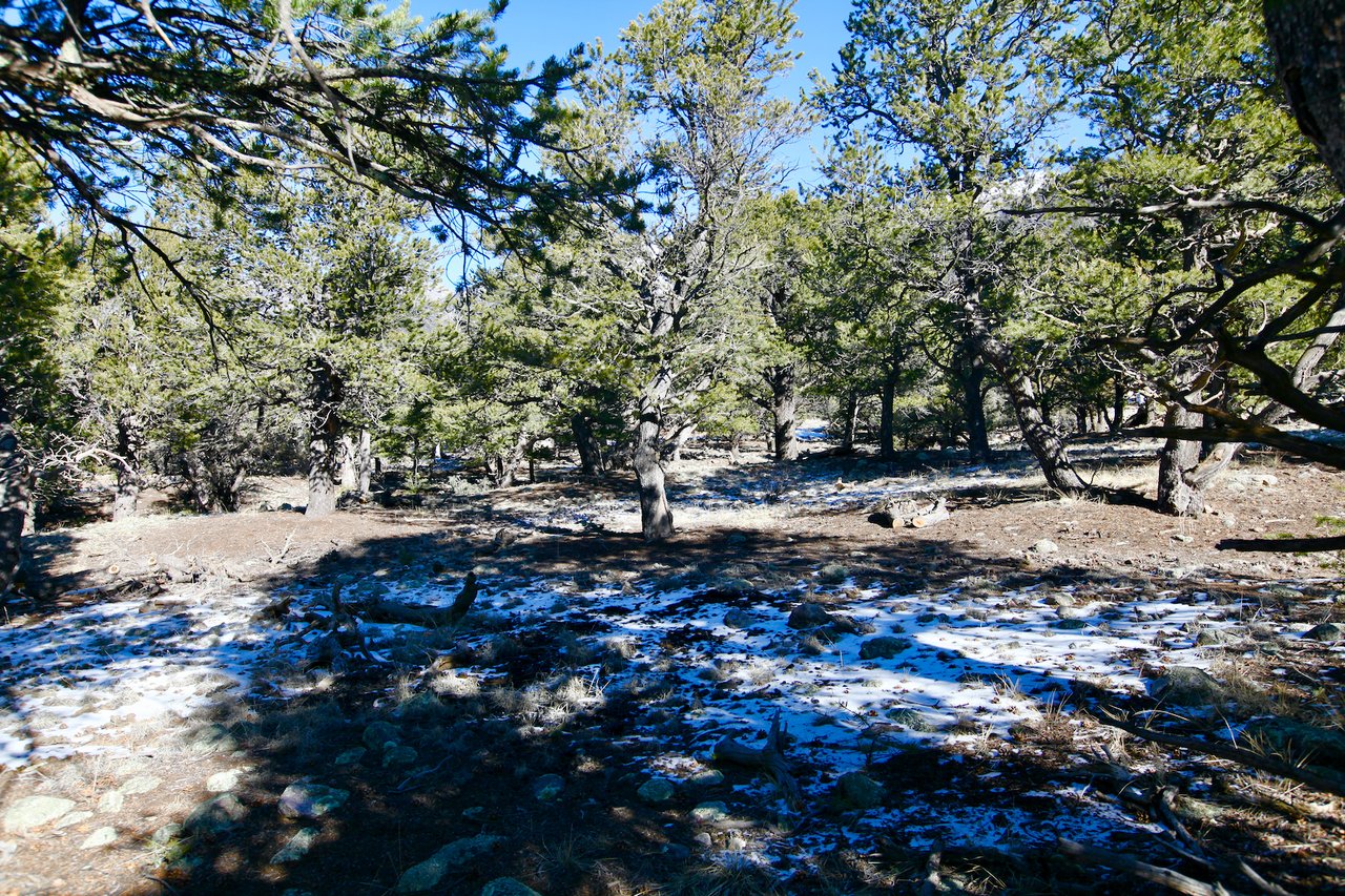 Condor Overlook Homesite