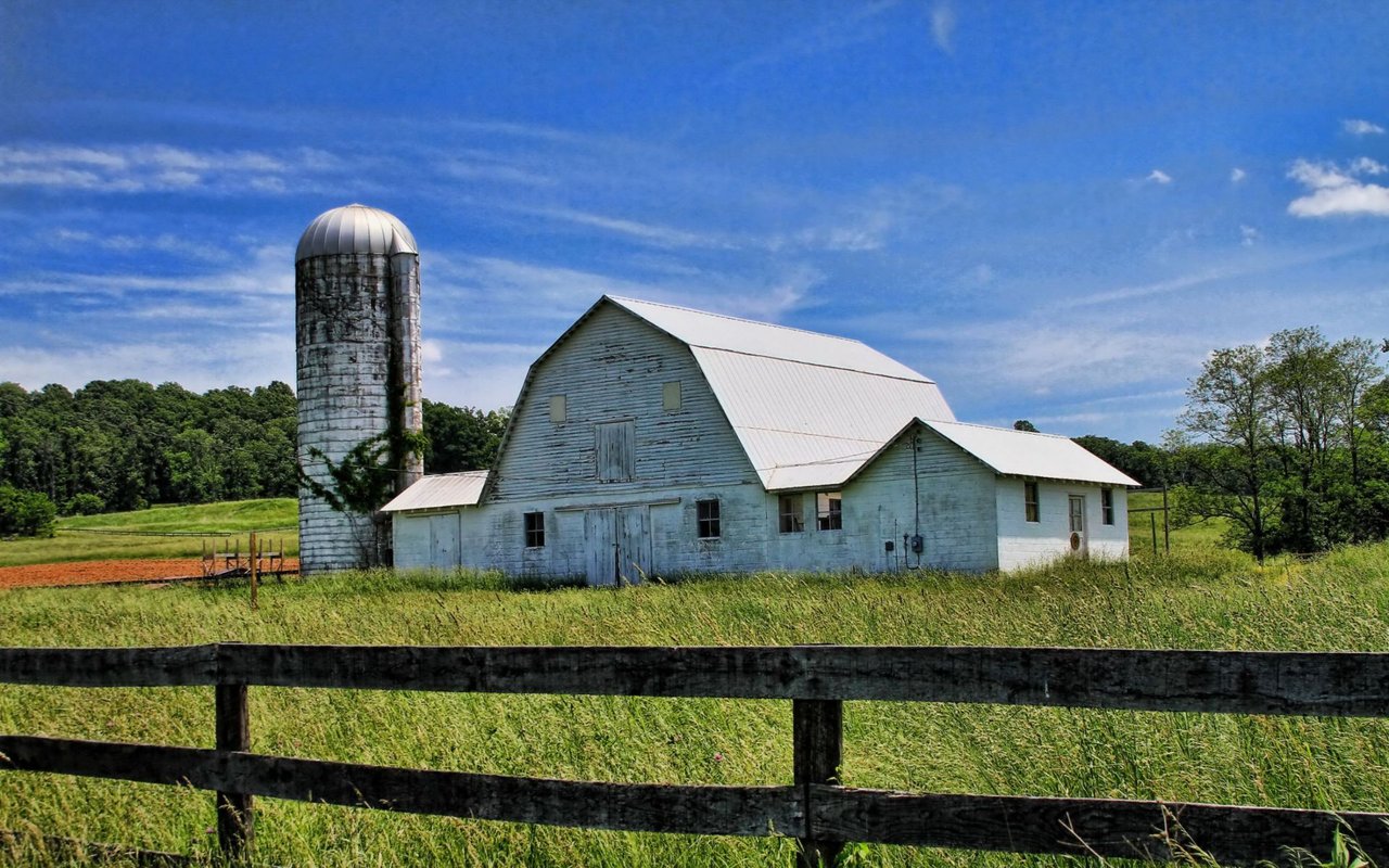 The Plains