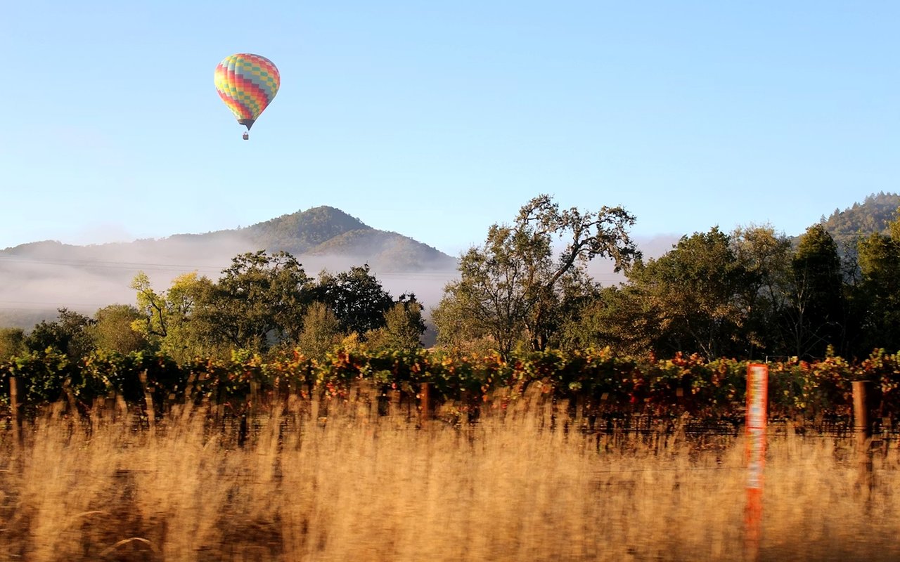 How to Spend a Day Outdoors in Napa Valley