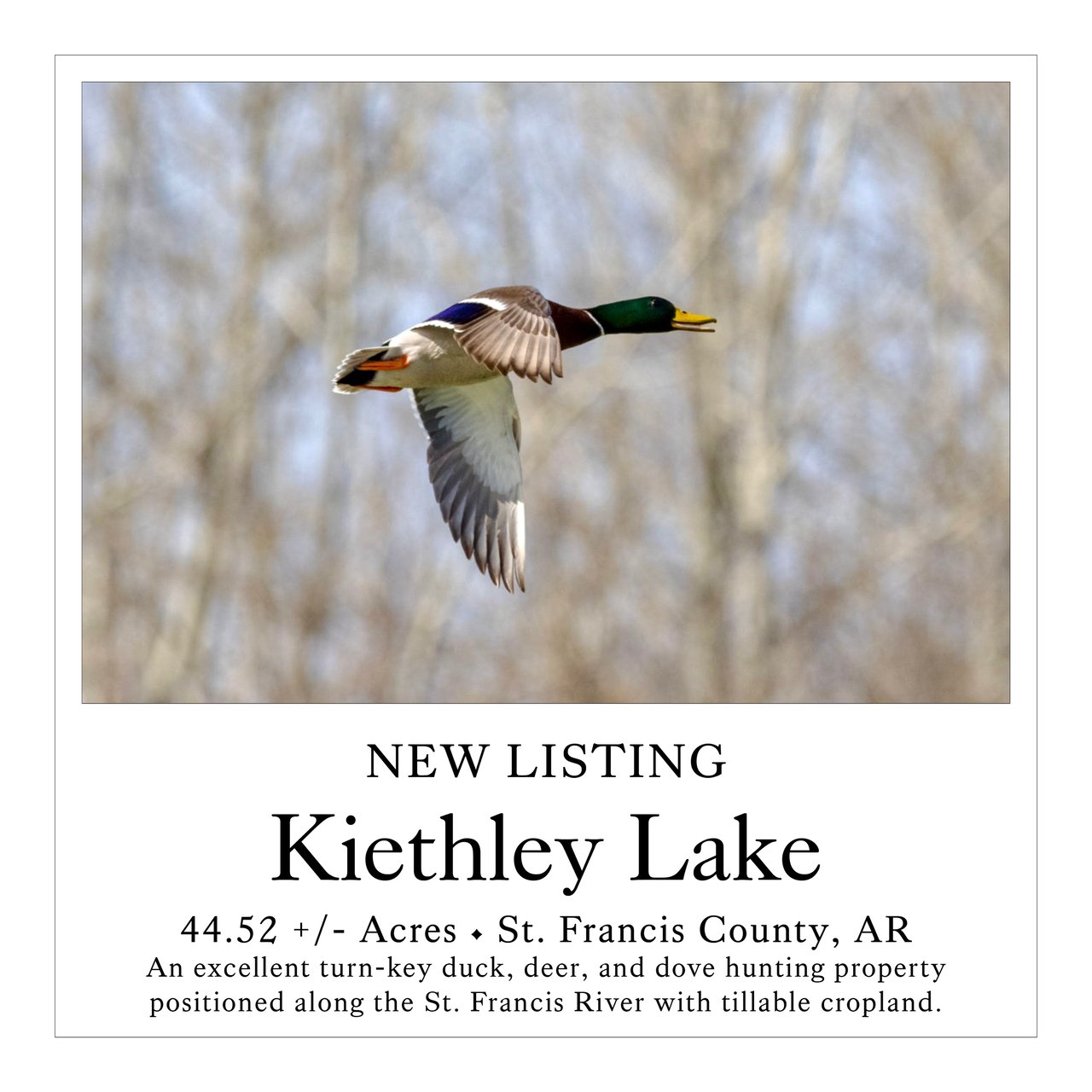 Keithley Lake