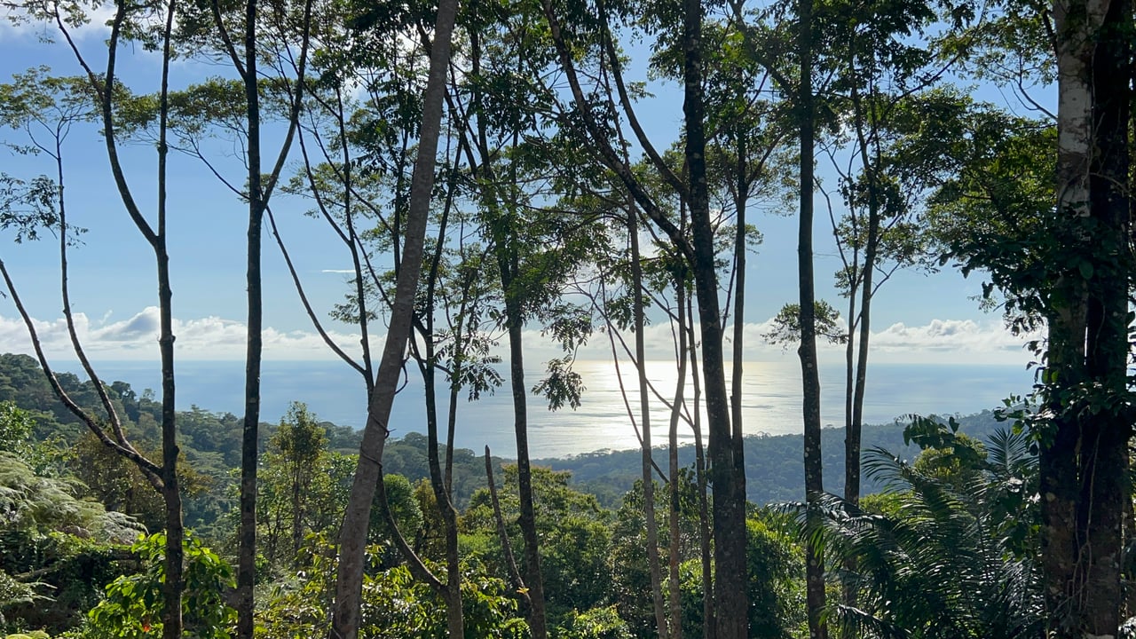 Ocean View Lots in the Exclusive Uvita Mountains. 
