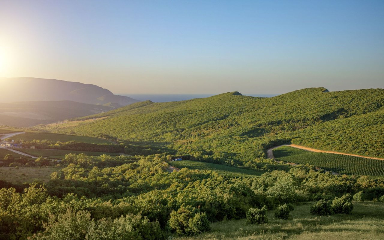 Green Valley