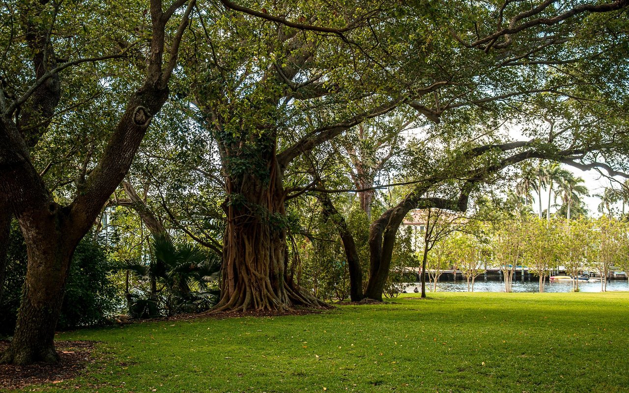 Victoria Park