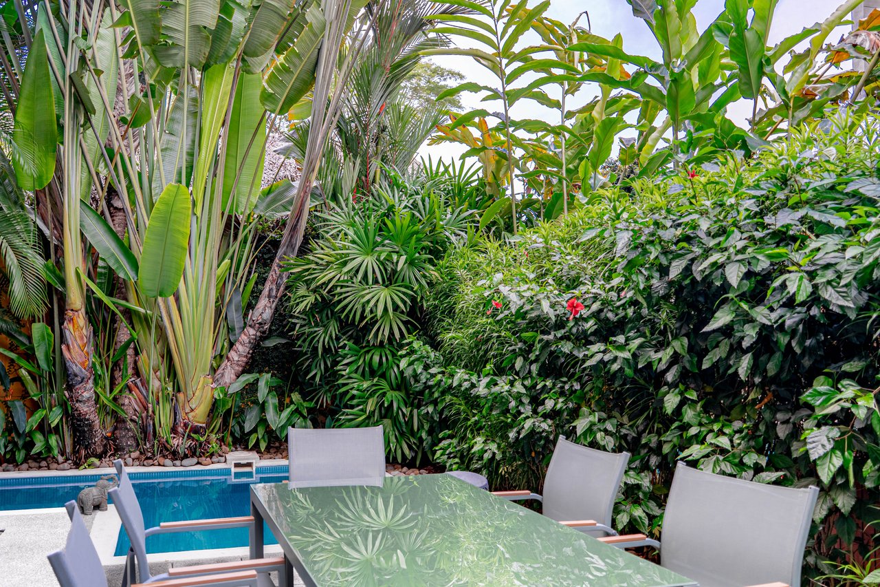 Private pool beside a glass-top outdoor dining table, surrounded by dense tropical landscaping.