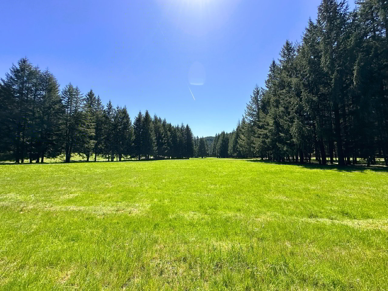 MOSBY CREEK FARM & FOREST