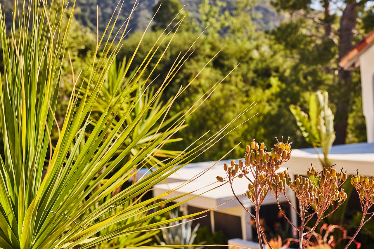 Your Private Mediterranean Retreat