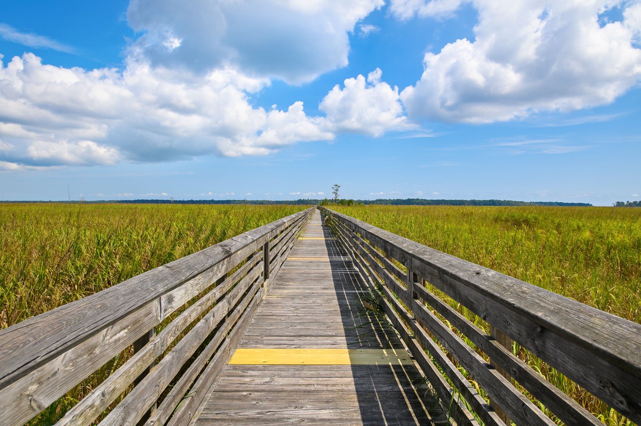 South Island Plantation