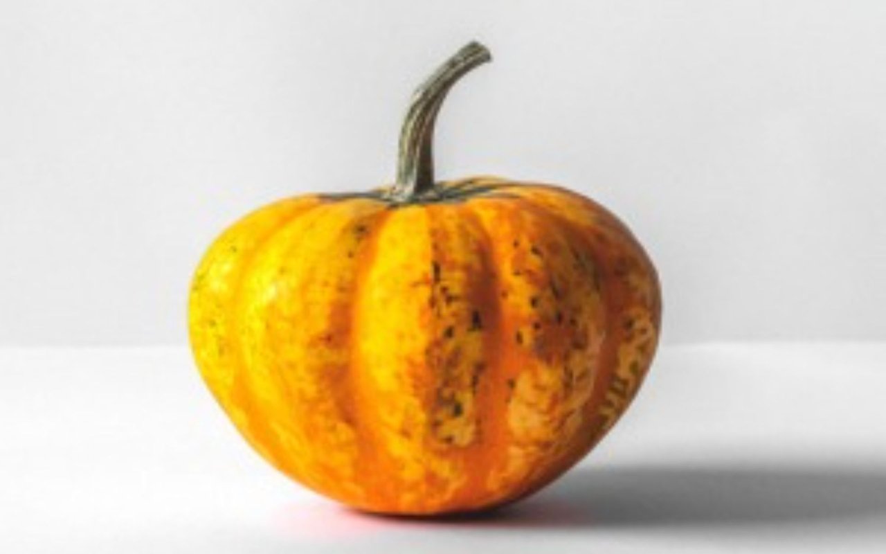 Native Real Estate Appreciation Event at Peltzer Pumpkin Farm