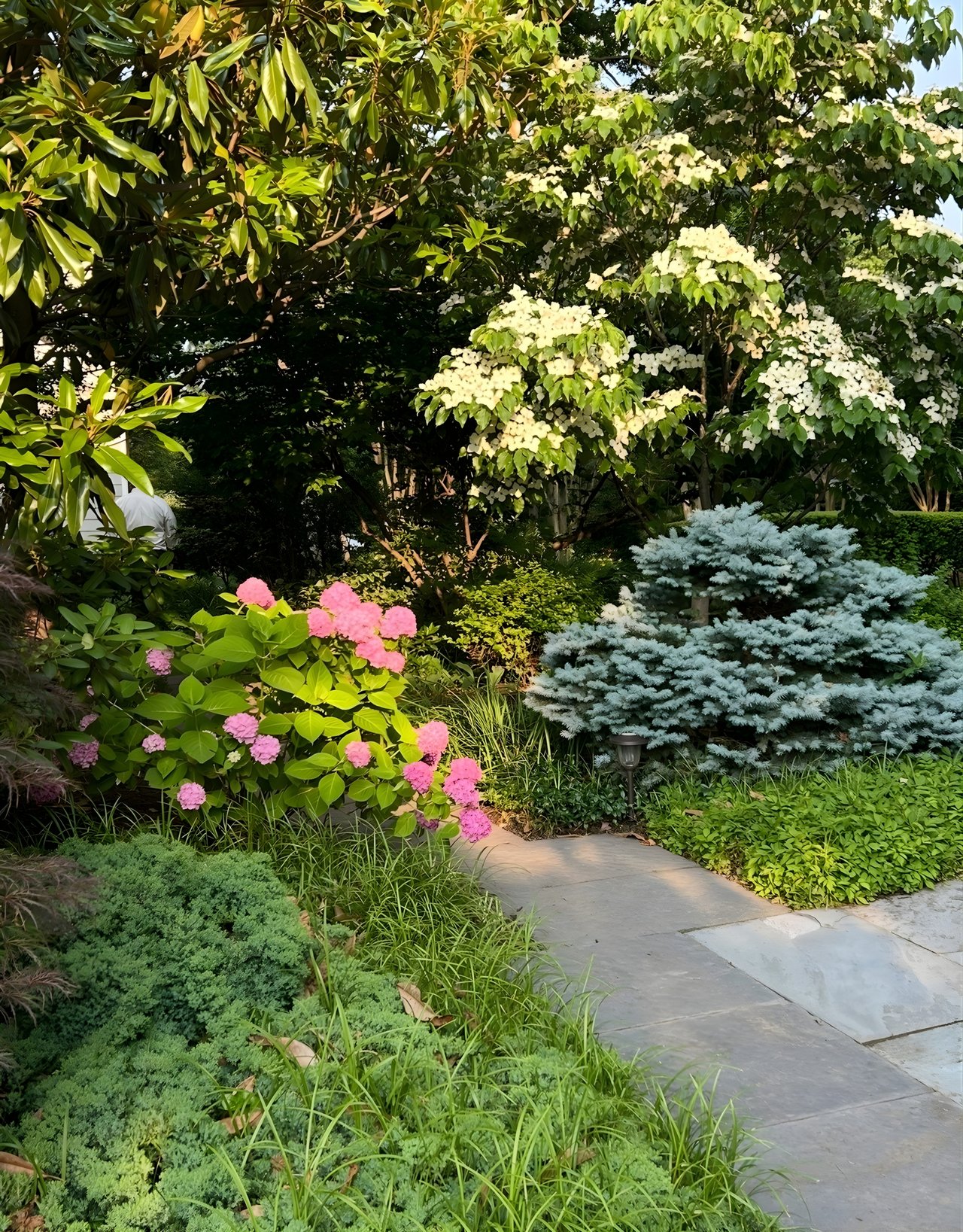 Rittenhouse Street NW