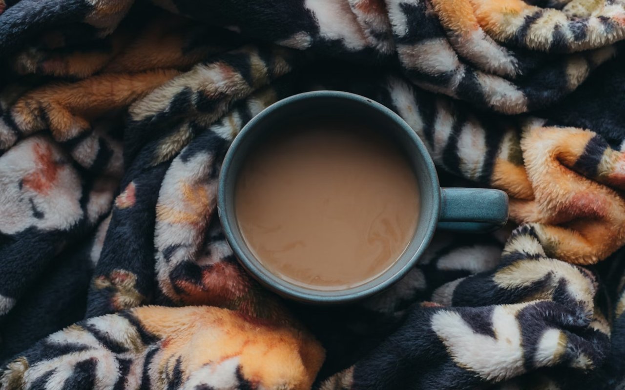 Local Favorites: Best Coffee Shops in Aledo to Warm Up This Season