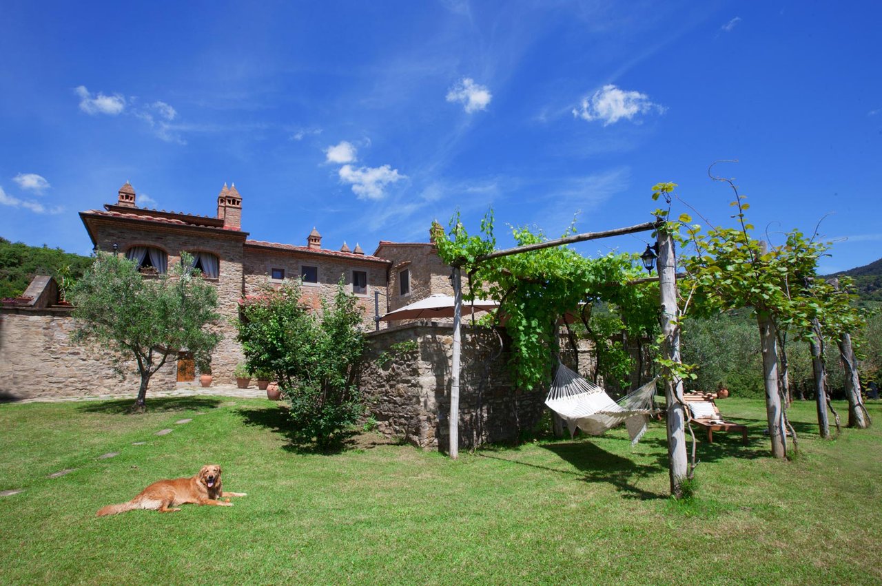 AZIENDA AGRICOLA ARGO