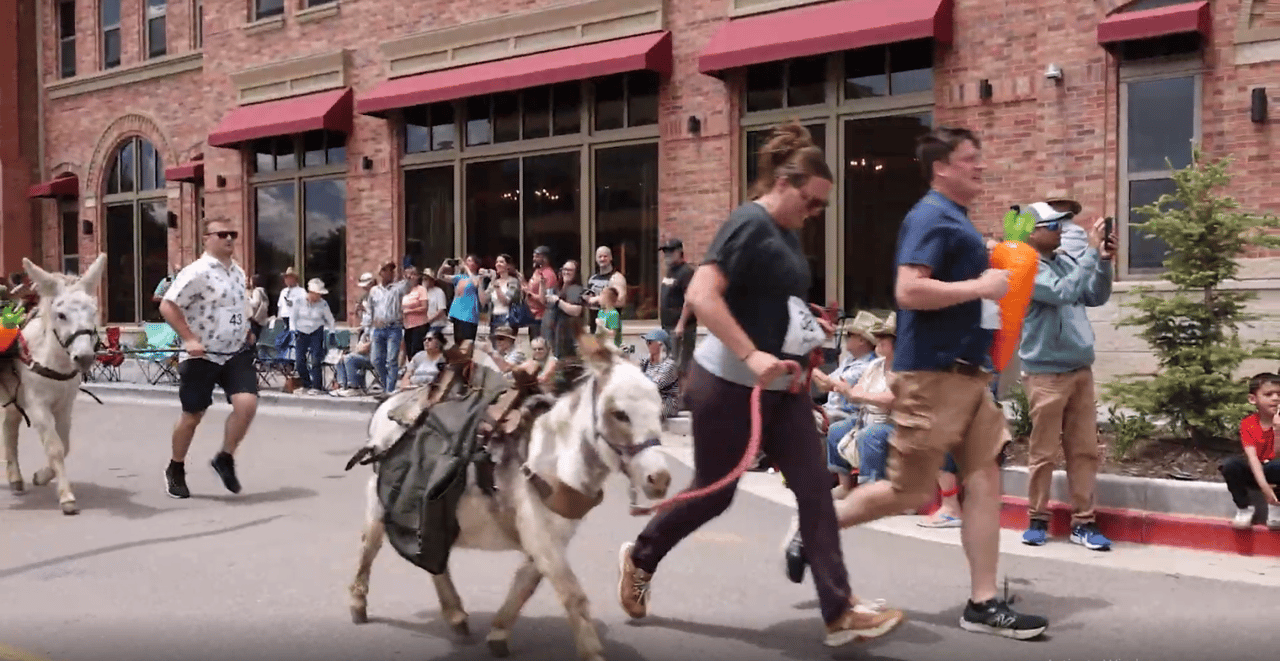 A Colorado Classic: Inside Cripple Creek’s Donkey Derby Days