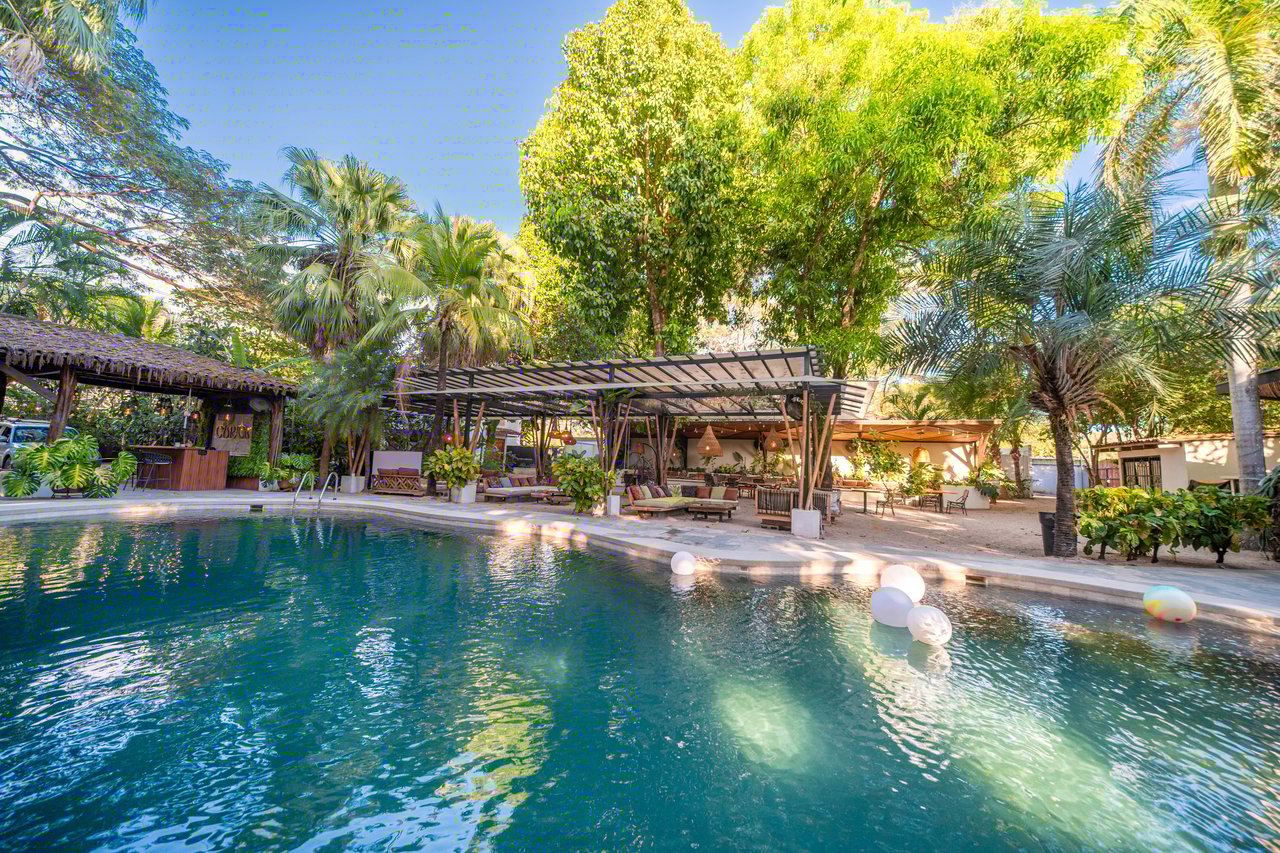 Hotel Curiol | Turnkey Boutique Jungle Hotel with Restaurant & Bar in Potrero