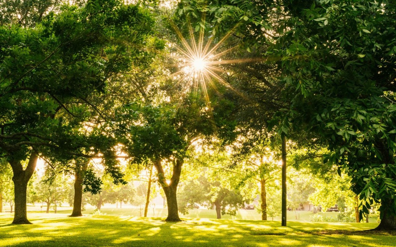 A Guide to Newburyport, MA Parks