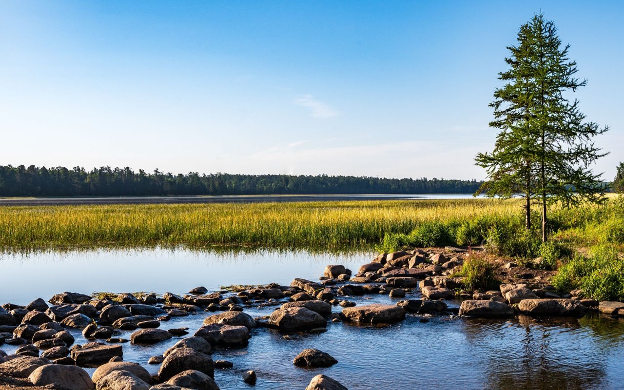Pine River