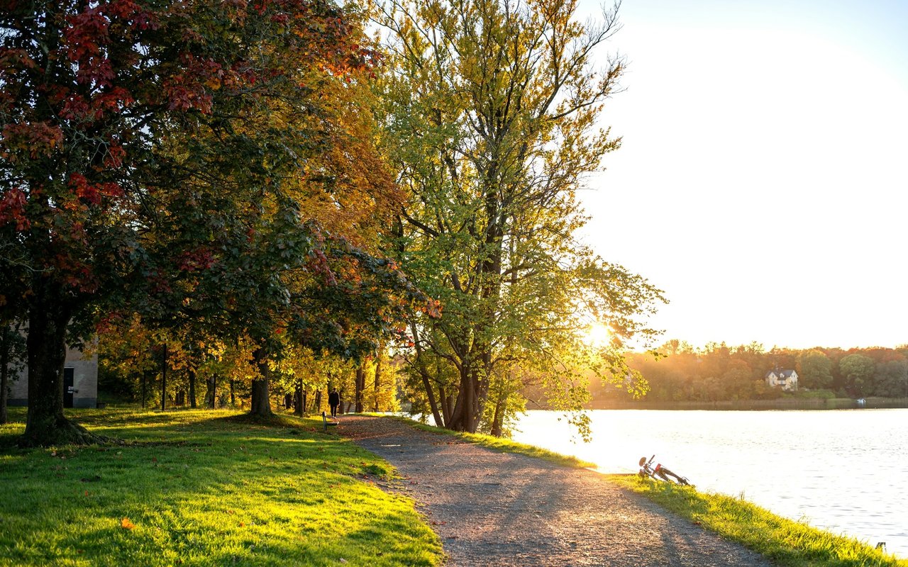 Autumn trees shade a lakeside path at sunset, with a bicycle beside the water.