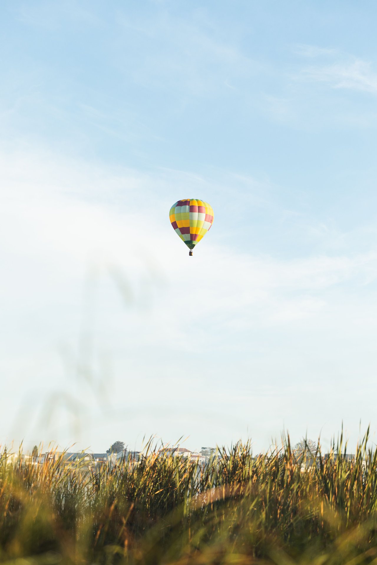 Colorful hot air balloon above a neighborhood, with tall grasses in the foreground.
