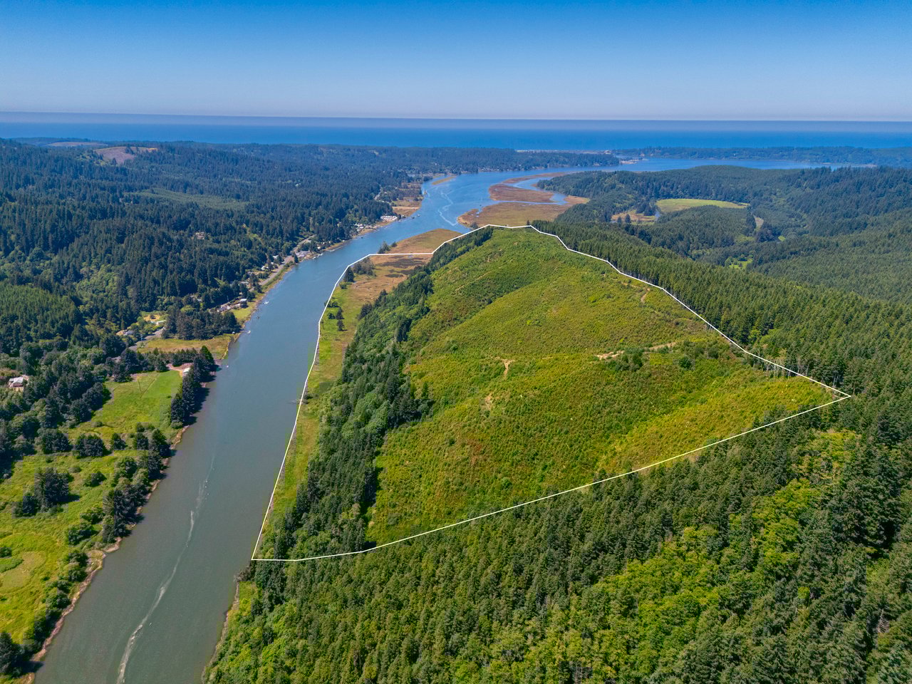 Alsea Estuary Forestland
