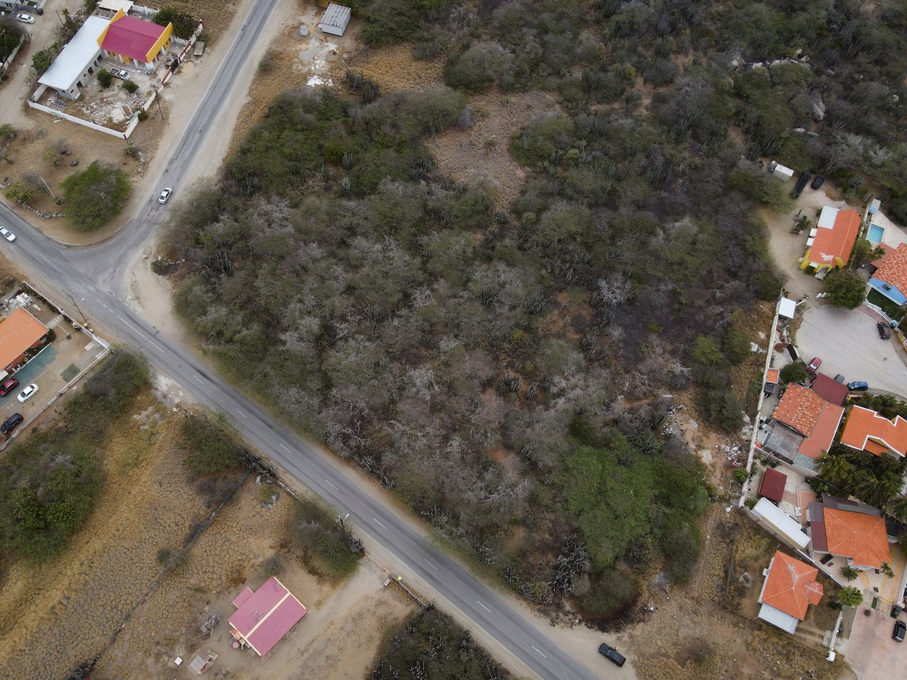 Full Ownership Land in Calbas