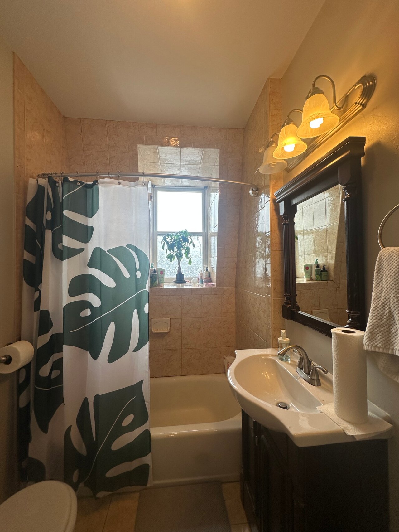 33 Bigelow St #3