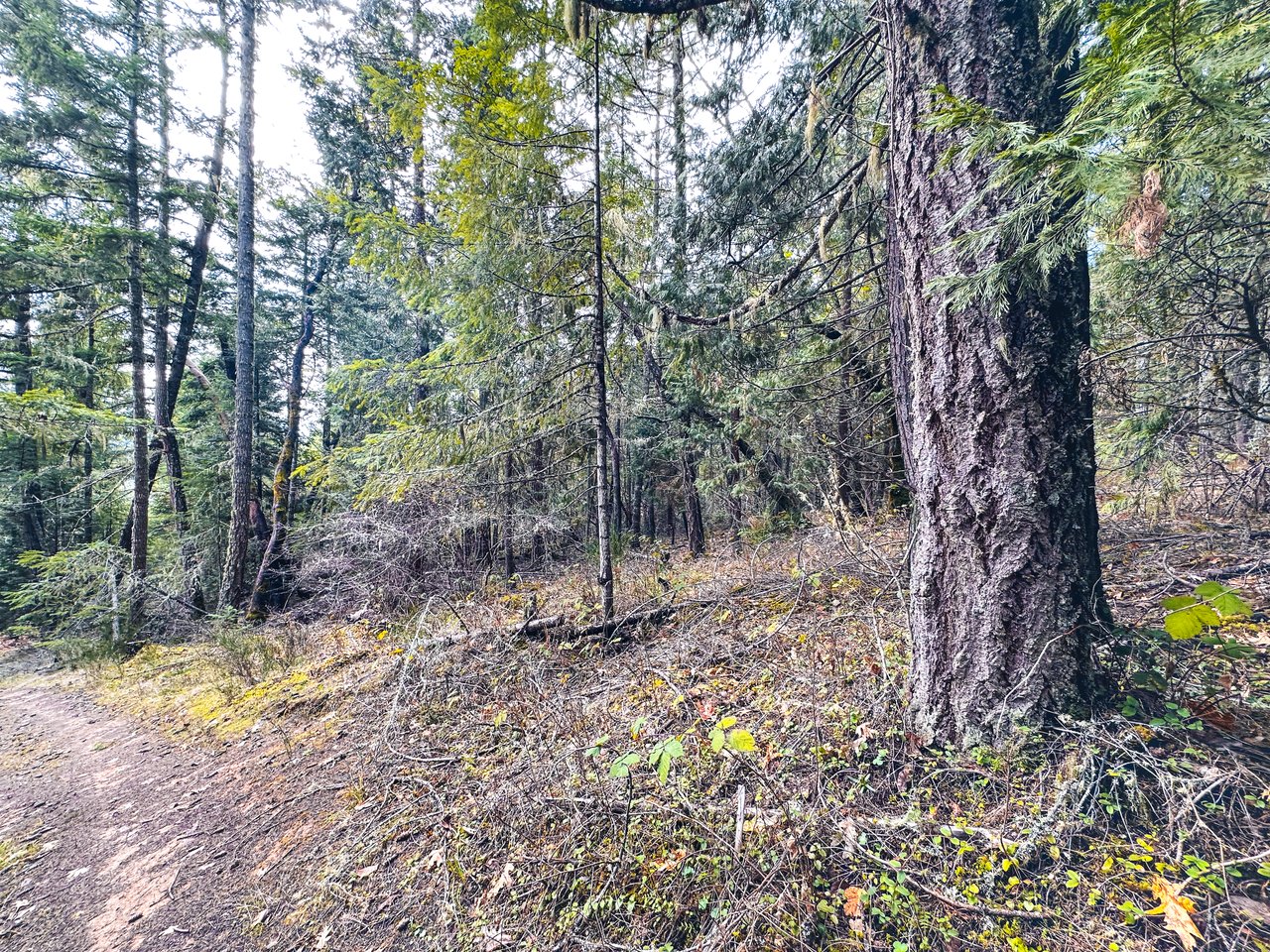SUTHERLIN HEIGHTS