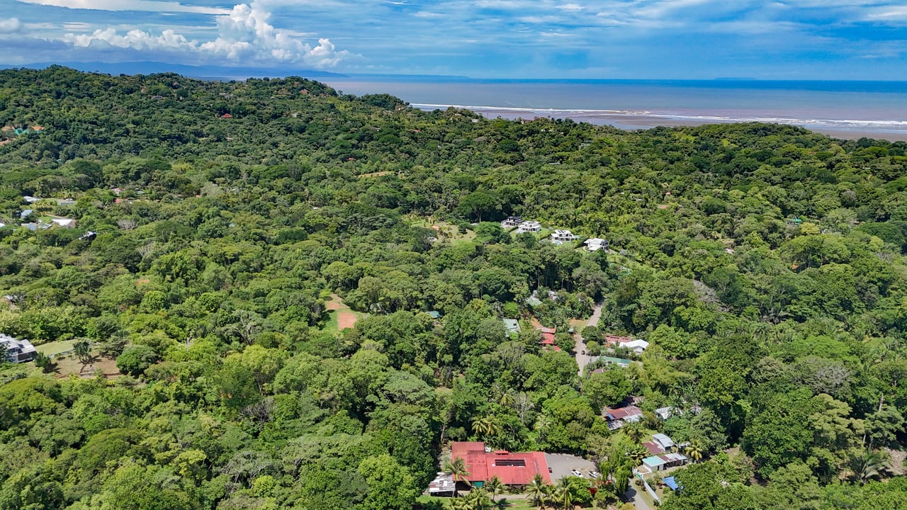 Ojochal Property for Sale – Cabins, Restaurant & 3-Bed Home