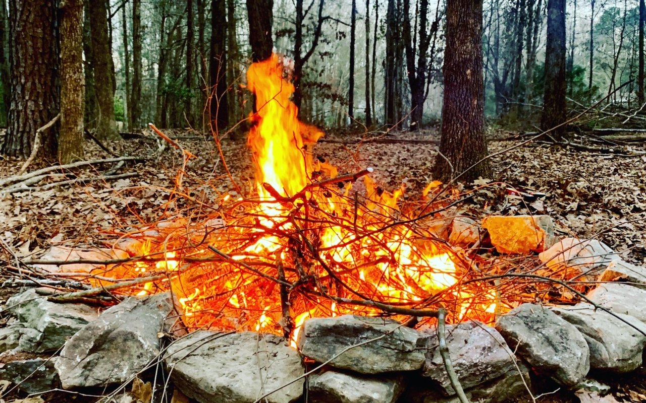 Building a Real Fire Pit - Garden Journal