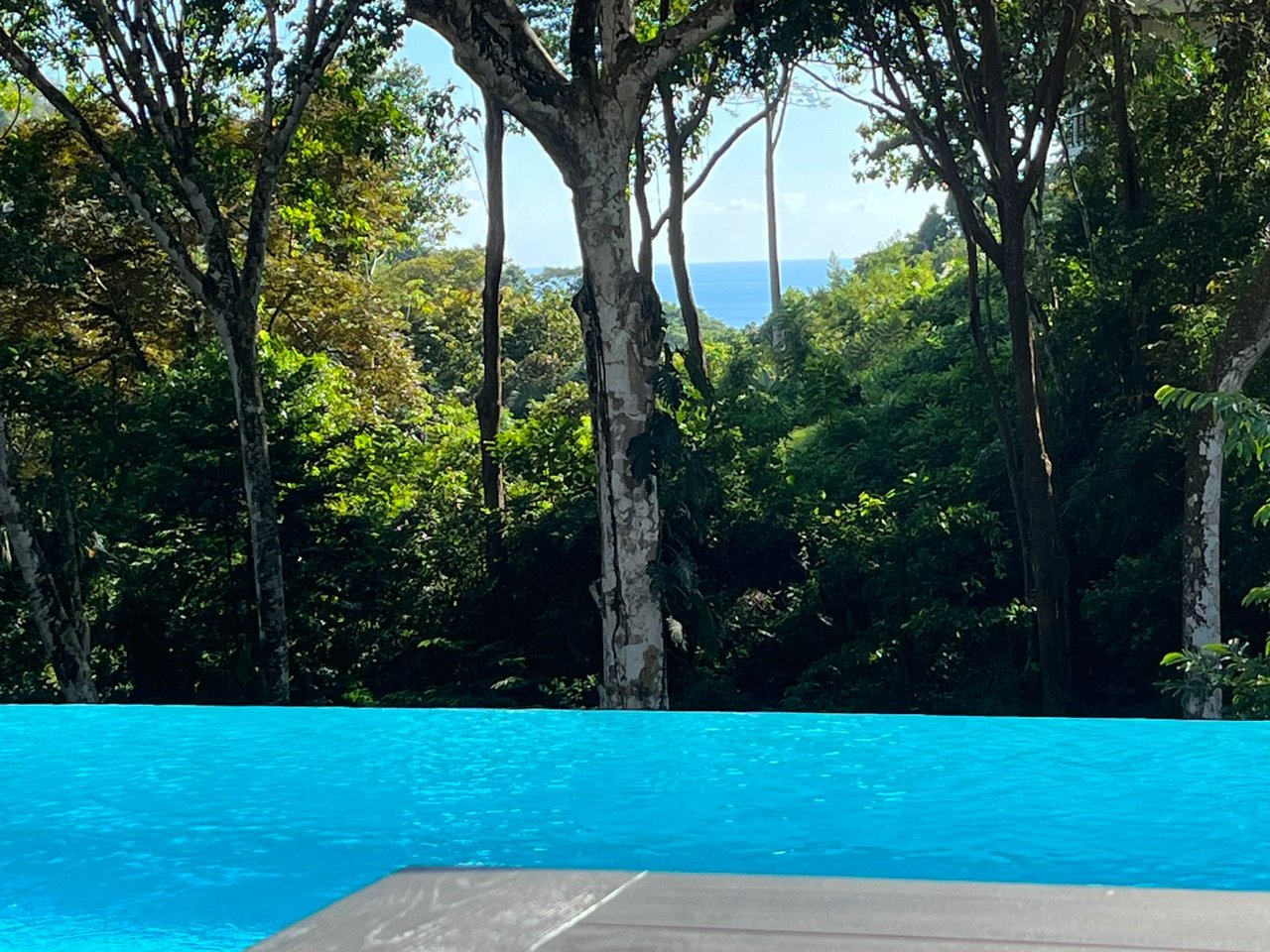 Luxury Ocean View Home in Paradise Breezes – A Private Retreat Near Dominical