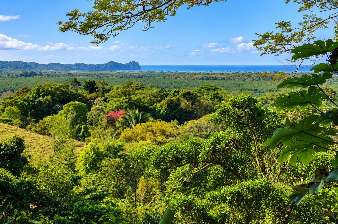 Vista Grande, 235 Acres with 6 bed home and Pool, (HUGE PRICE REDUCTION)
