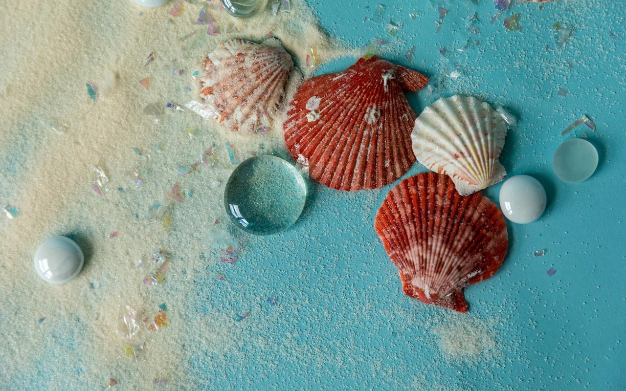 Summer = Sunshine, Sandy Shoes, Seashells, and Sandcastles
