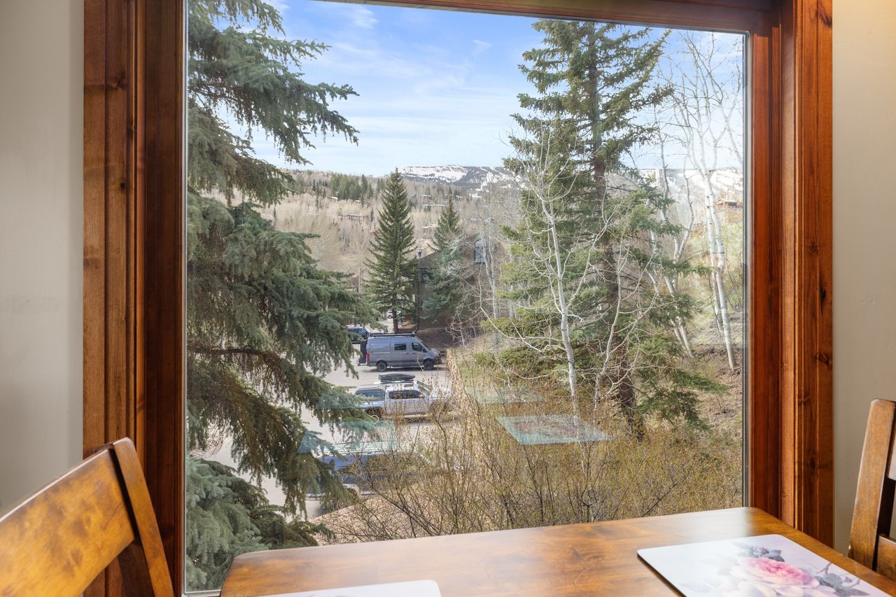 Your All-Season Retreat Minutes from Aspen