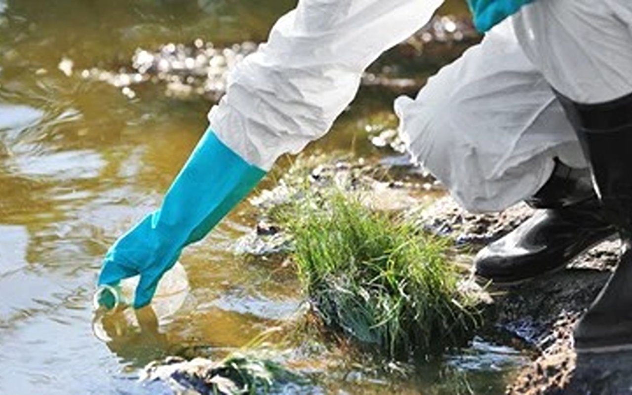 Environmental Issues