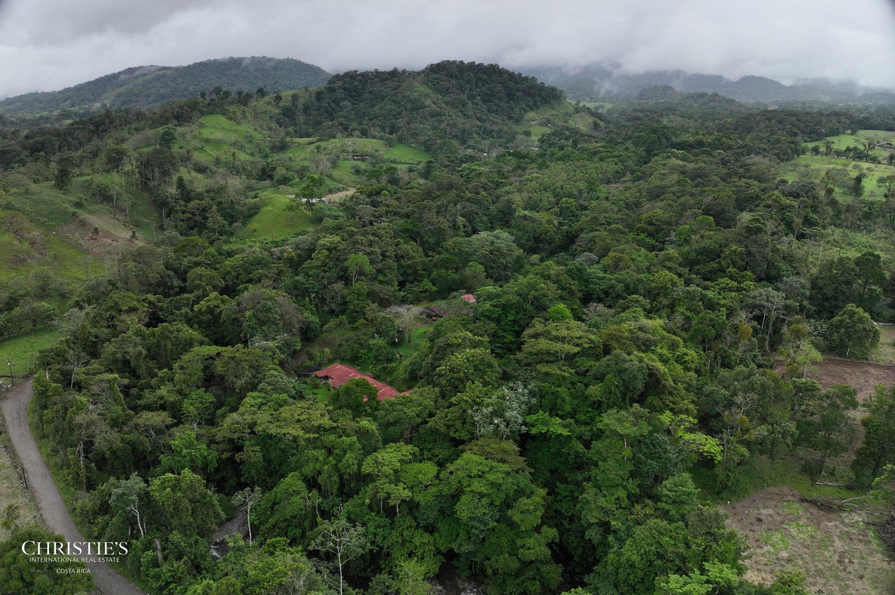Finca Isla Rainforest Retreat – A Rare Income-Producing Paradise