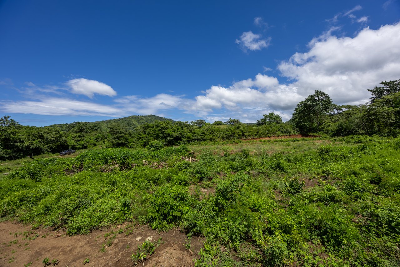 Lot Norte – Potrero | 5,000 m² Flat Build-Ready Lot Near the Beach