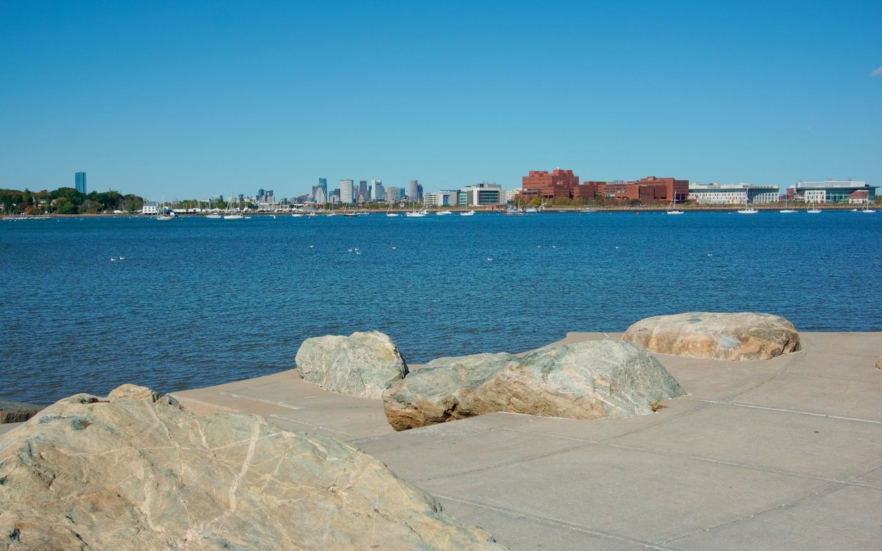 Squantum