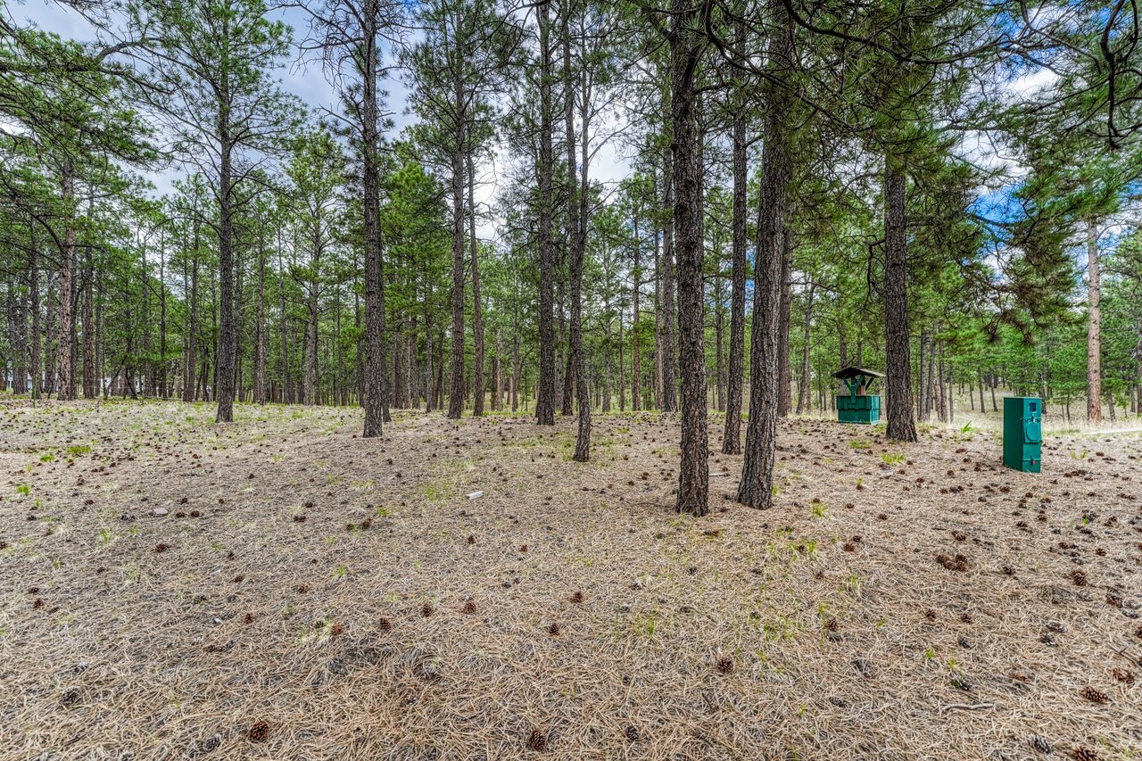 9950 Pine Park Trail