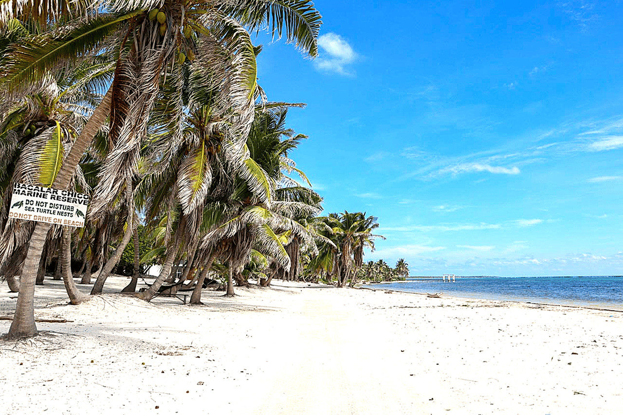North Ambergris Caye 