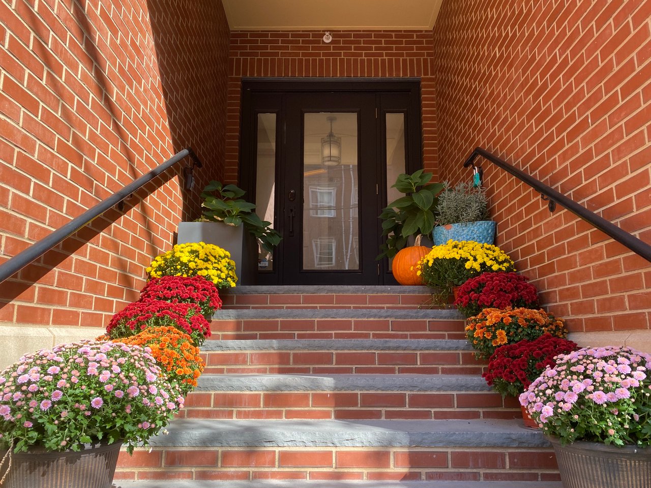 31 Orleans Street T1