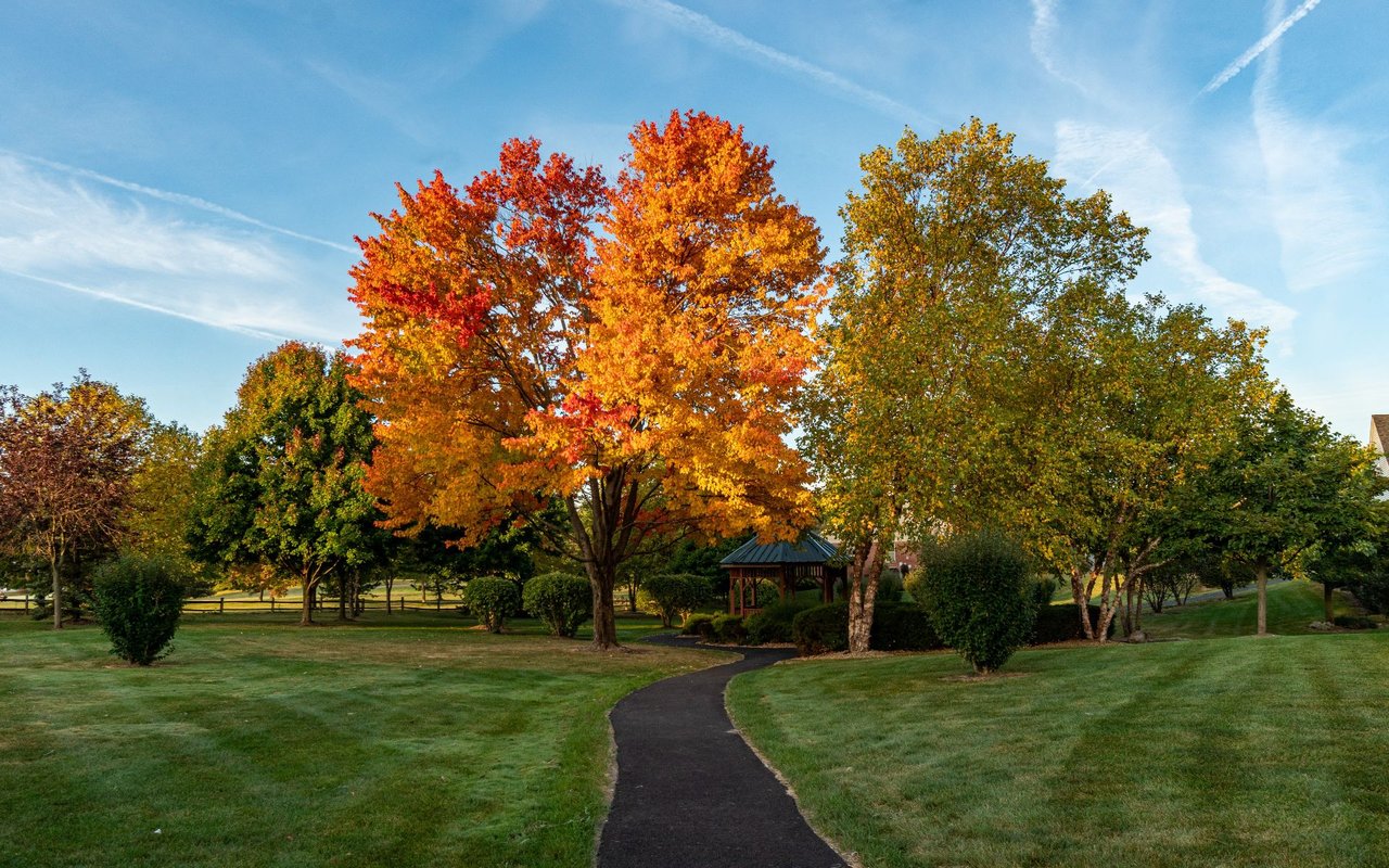 Orland Park