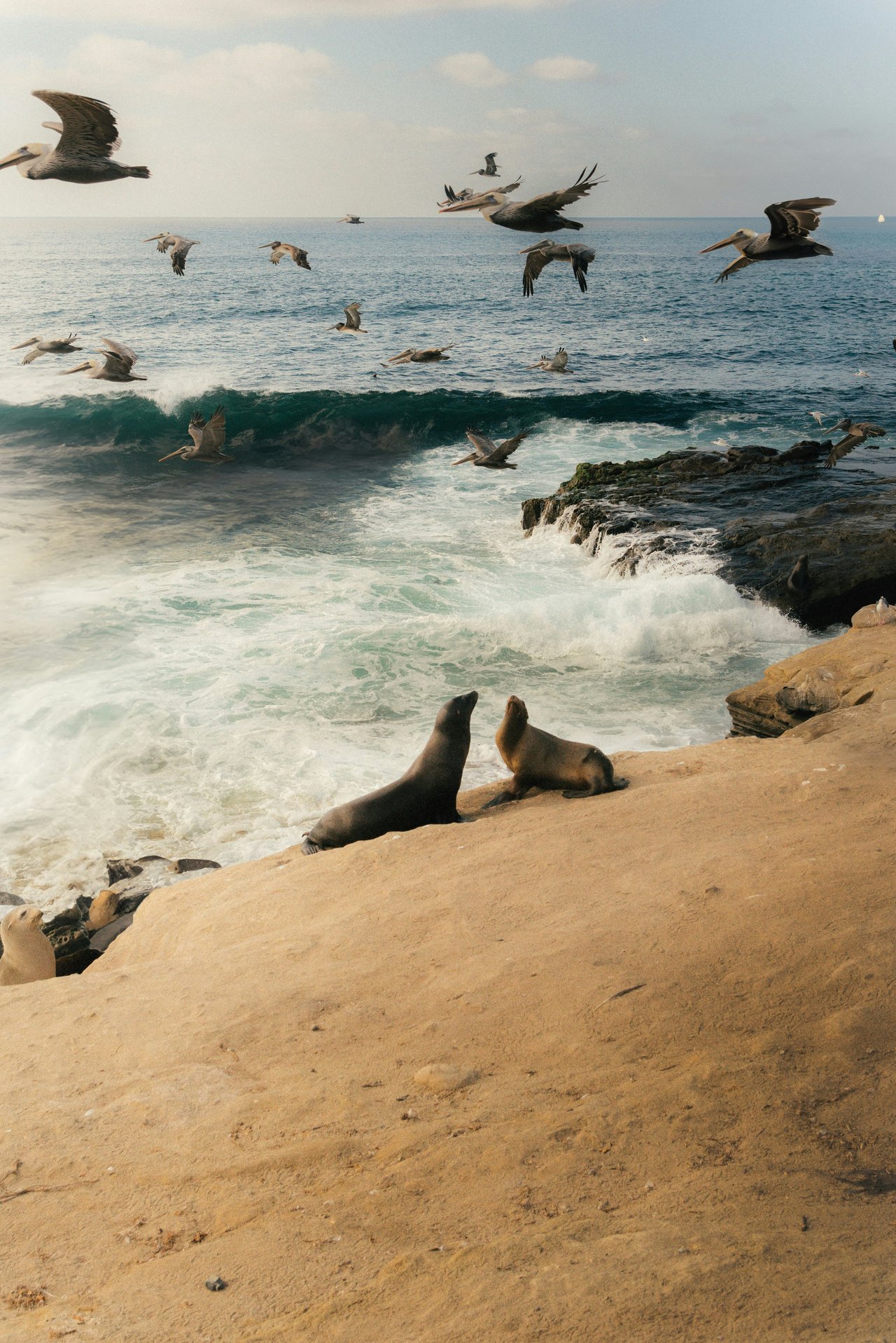 Market Update | Mar 11