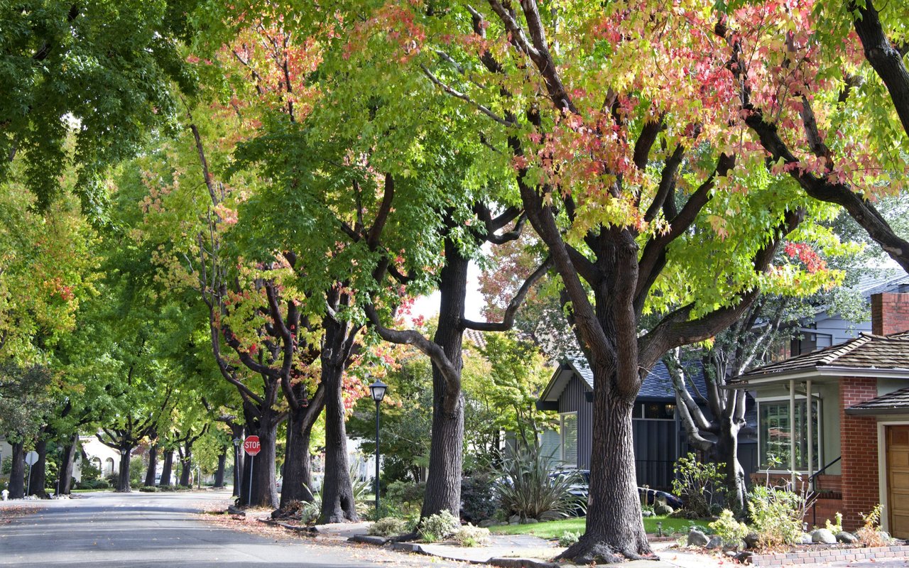 Greenbrae