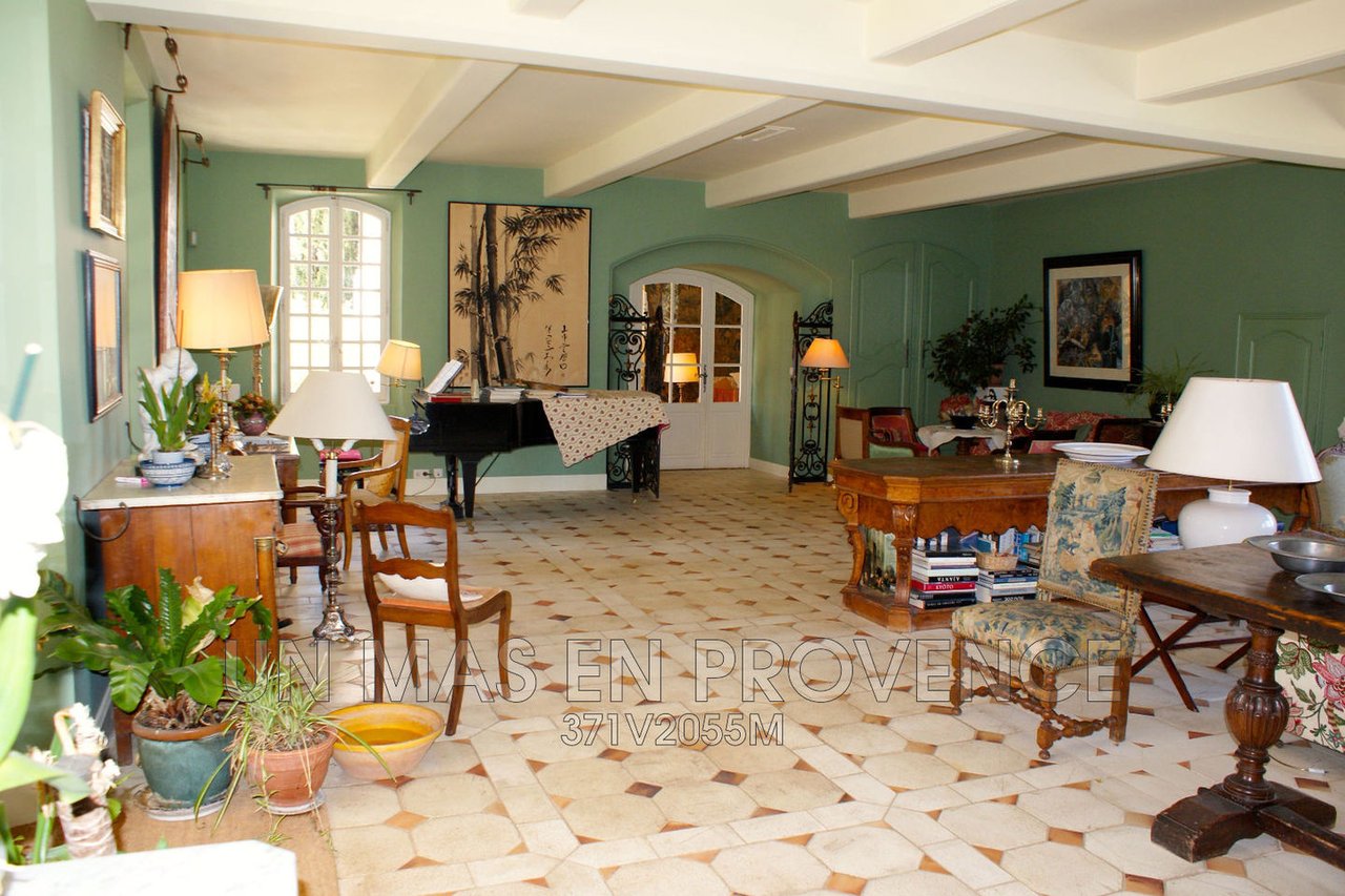 Luxurious Property in Bonnieux