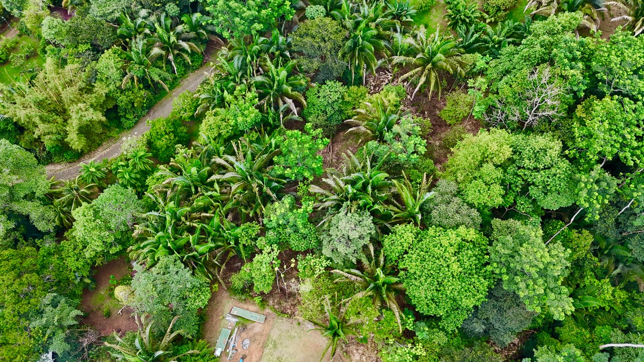 Over 1.4 Acres in Playa Hermosa – Just 5 Minutes from the Beach!