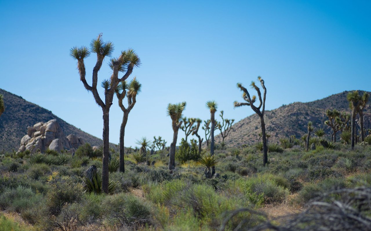 Skull Valley