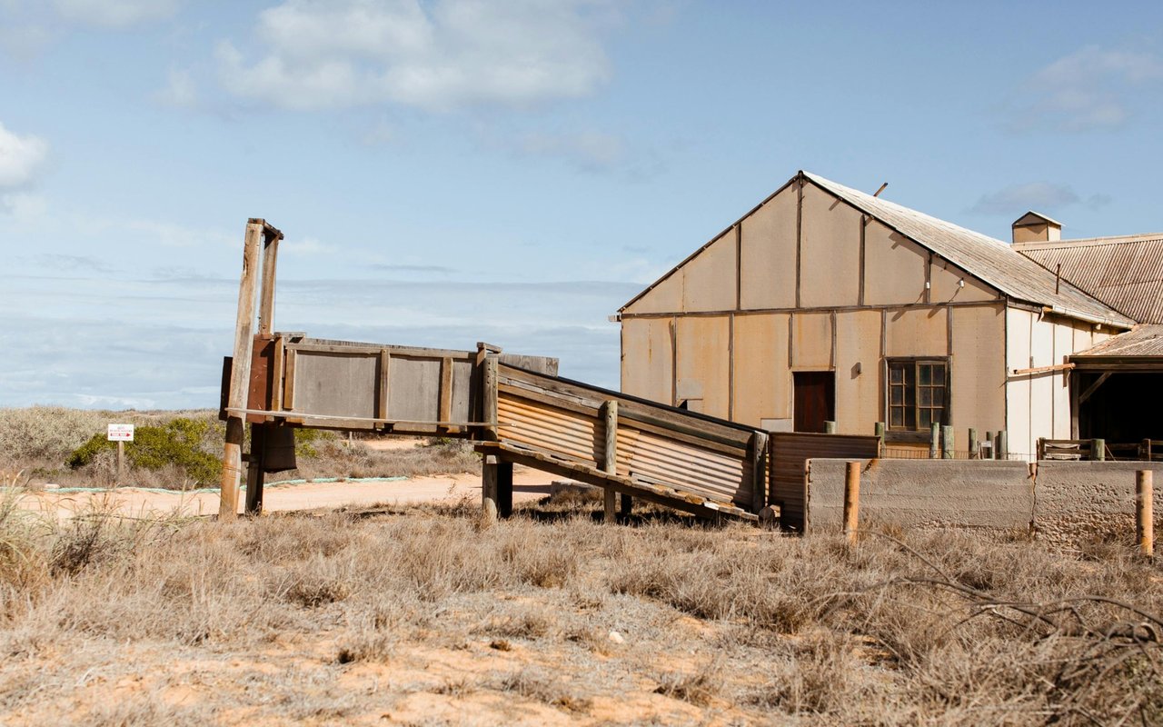 Colts Neck Horse Farm a Hidden Gem
