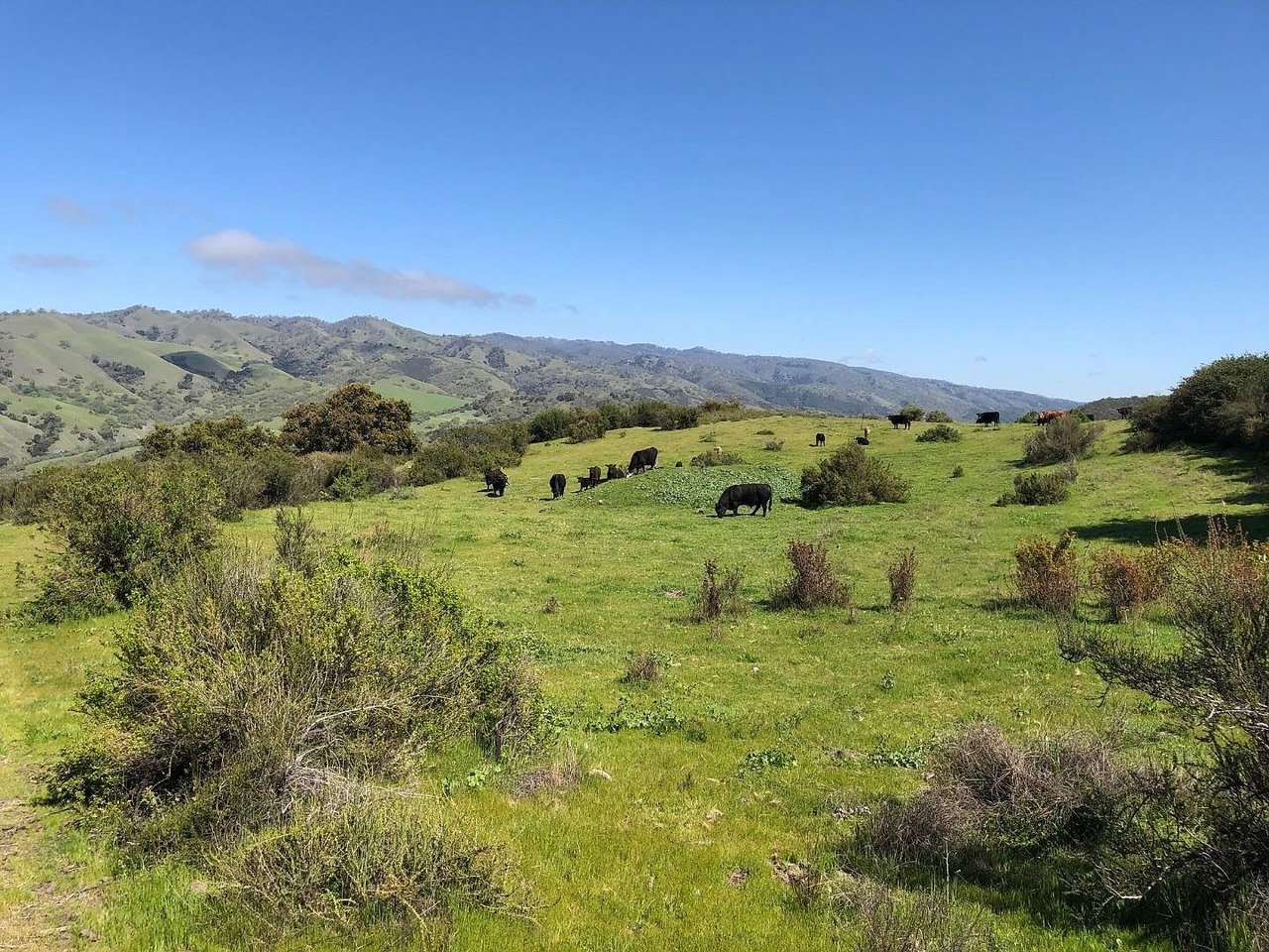 Indian Creek Ranch, 36000 Carmel Valley Road, Carmel Valley, CA 93924