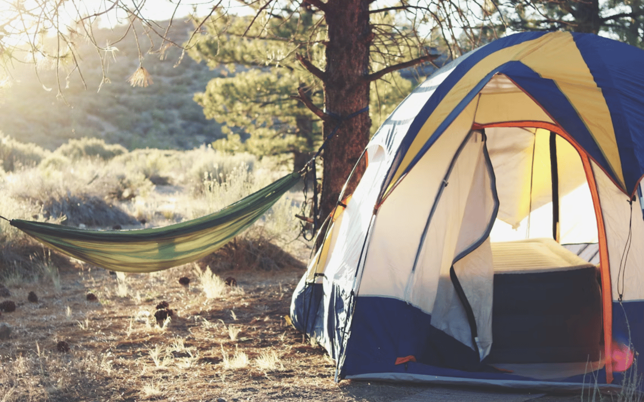 Top Outdoor Activities in Knoxville, TN