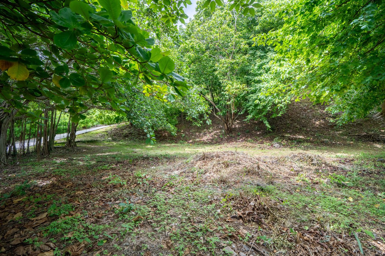 El Tesoro Lot | Premier Ocean-View Homesite in Tamarindo