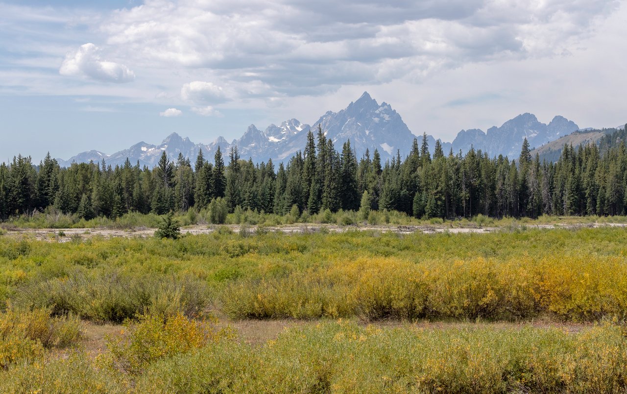 View of Grand Teton from Moran.